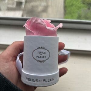 Venus et Fleur Light pink rose